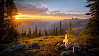 Between the Days When Mountains Turn to Gold LIVE