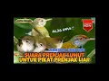 Download Lagu suara MP3 burung prenjak lumut ribut kombinasi sirpu