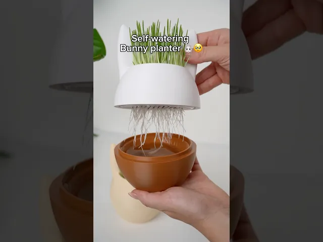 SPROUTBUNNY self-watering Easter Bunny Planter video thumbnail