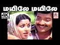 Download Lagu Mayile Mayile Un Thogai Enge Song இசைஞானி இசையில் SPB ,ஜென்சி பாடிய மயிலே மயிலே உன் தோகை எங்கே பாடல்