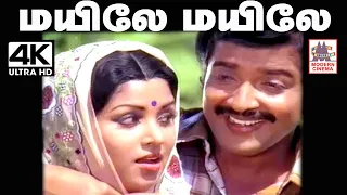 mayile mayile un thogai enge song spb 