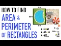 Finding AREA PERIMETER of a Rectangle Examples