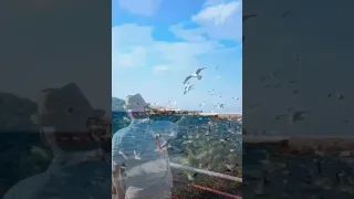 الناس لا تصدق صاحب الحق بل تصدق من يجيد الكذب والتمثيل اكثر 