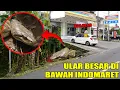 Download Lagu ADA SARANG ULAR TITAN BESAR DI BAWAH INDOMARET?!