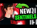 Is Aceu Returning to Comp After Joining Sentinels