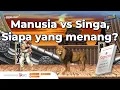 Download Lagu Bagaimana Sapiens Menaklukkan Dunia - Yuval Harari