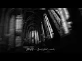 Download Lagu SHDOW — Spirit (slowed + reverb)