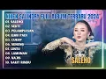Lagu NIKEN SALINDRY - SALEHO - SEKTI - PELAMPIASAN || FULL ALBUM DANGDUT KOPLO TERBARU 2024 !