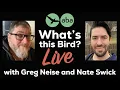 What s This Bird LIVE August 7 2026