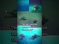 Download Lagu Removed fishs - Feed and grow fish #REVIVEFEEDANDGROWFISH #feedandgrowfish #edit #Feedandgohome