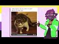 Nonbinary Memes Because Why Not