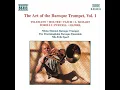 Trumpet Sonata in D Major, Z. 850: I. (Allegro)