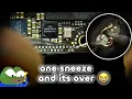 The Worlds Most Microscopic iPhone Repair