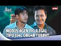 Download Lagu Modus Agen TKI Ilegal Siluman Kuda Hitam | Aini Malaikat Tak Bersayap Eps 189 FULL