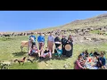 Download Lagu Mountain adventure in Iran | grazing goats, tanoori bread, rifle and free horses