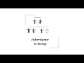 BISES - GRADE 9 BIOLOGY CHAPTER 18 TOPIC INHERITANCE LECTURE