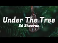 Download Lagu Ed Sheeran - Under the Tree (from “That Christmas”) (Lyrics Video)