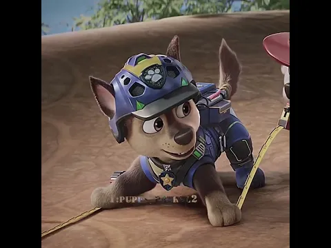 Hiii 👋 How are you doing? have you seen the new film? #chase #pawpatrol