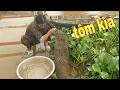 Download Lagu Tuyệt Chiêu Giăng Lưới Cá Và Thăm Lú Mùa Nước Nổi Ở Miền Tây # SĂN BẮT ĐỒNG THÁP #