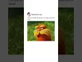 Wisdom words by The Lorax