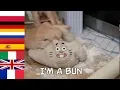 Lagu I'm a bun in different languages | Amazing world of Gumball