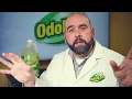 OdoBan s Eucalyptus scent Why Does It Eliminate Odors So Well