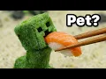 I Got a Pet Creeper in Real Life