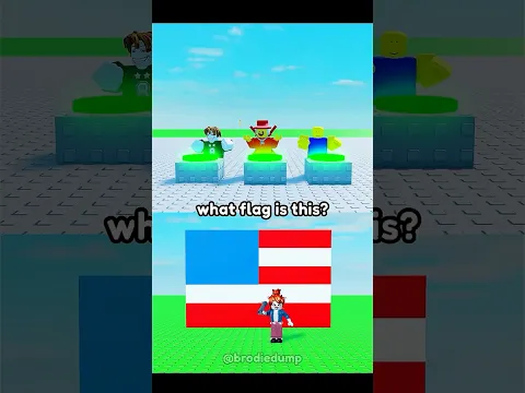 what flag is this🇺🇸