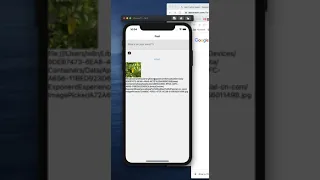 React Native Upload Image From Local Phone Demo