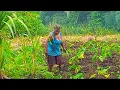 Download Lagu Real Papua New Guinea Village Life | Traditional Melanesian Farming \u0026 Authentic Melanesia Stories
