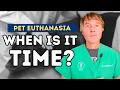 End-of-Life Decisions Dr Andrew Jones Guide to Recognizing the Right Time for Pet Euthanasia