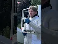 Download Lagu Scheerschuim en een stofzuiger: Het einde van de Aziatische hoornaar | RTV Utrecht