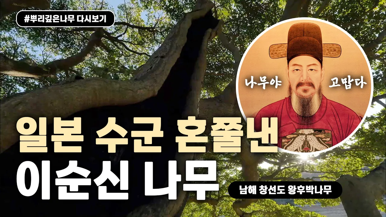 관련 영상 썸네일