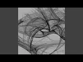 Two Plane-Polarized Waves