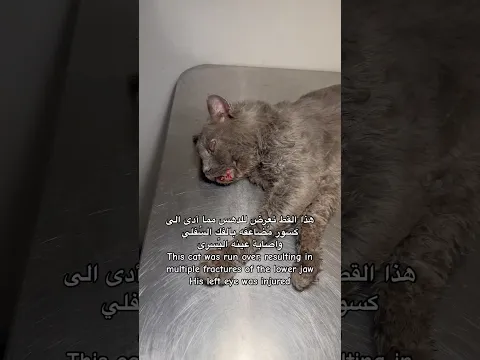 رجعنا للانقاذ من جديد بعد انقطاع طويل  انتظروا الجزء الثاني من العلاج , دعواتكم له ✨🤲🏻 ♥️