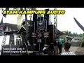 Download Lagu Upgrade Kabel Sultan | Ayam Kampung Audio Makin Ganasss !!!