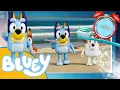 Lets Brush with Bluey 2 Minute Toothbrush timer with Music