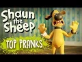 Lagu Shaun's Top Pranks - Shaun the Sheep