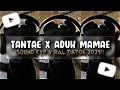 Lagu DJ TANTAE X ADUH MAMAE VIRAL TIKTOK 2025