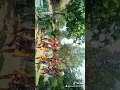 Download Lagu Tik tok los dol versi jaranan safitri mudah Bhirawa