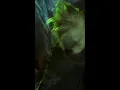 How the Grinch Stole Christmas Heart Size Down