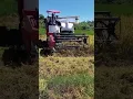 Download Lagu YANMAR AW70GV HARVESTER paddy cutting  MACHINE viral video my channel please  subscribe