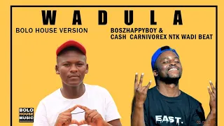 wadula boszhappyboy x cash carnivore u0026 ntk wadi beat official audio