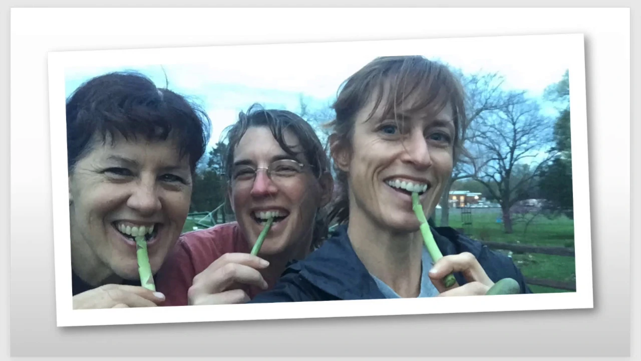 Becoming A Garden Detective