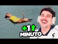 Download Lagu IF I LAUGH = INCREASE +1 MINUTE OF VIDEO