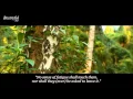 Download Lagu NEW   beautiful Quran recitation   heart soothing voice