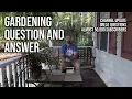 Gardening Question and Answer - Good Questions and Channel Update