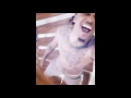 posts very weird for the ladies Hot or not Appealing or lame