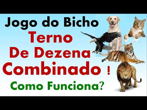 Download MP3 Jogo do Bicho - Terno de Dezena Combinado! Como você joga e com você ganha?