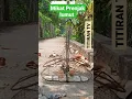 Download Lagu Mikat Prenjak Lumut Target Sampai Turun ||sangkar jebak burcil #shorts #prenjak #kicaumania